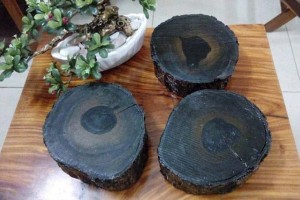 Thông tin đáng chú ý về gỗ mun bạn nên biết trước khi sử dụng